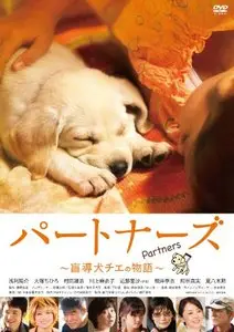 Partners (2010)