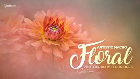Artistic Macro Floral Photography Techniques