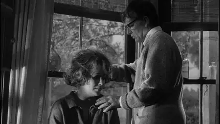 Who's Afraid of Virginia Woolf? (1966) [2-disc Special Edition]