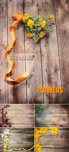 Stock Photo - Flowers on Wooden Background