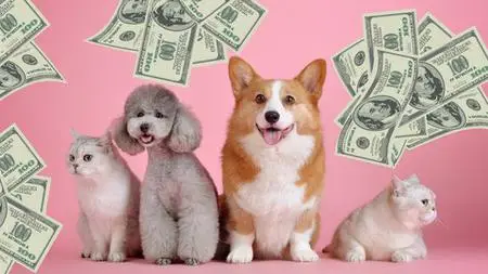 Discover How To Make Money With Your Pet