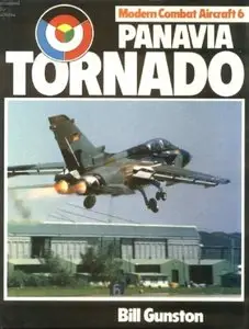 Modern combat aircraft 6: Panavia Tornado (Repost)