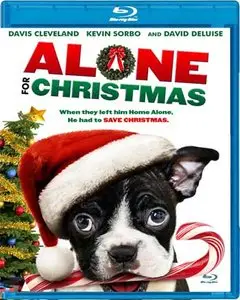 Alone for Christmas (2013)