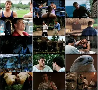 Kickboxer (1989)