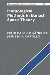 Homological Methods in Banach Space Theory