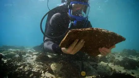 BBC - Pavlopetri: The City Beneath the Waves (2011)