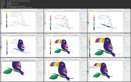 Illustrator Grundkurs