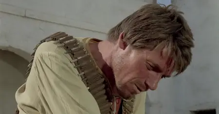 Un dollaro tra i denti (1967) A Stranger in Town