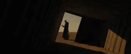Posledniy Ronin / The Last Ronin (2024)