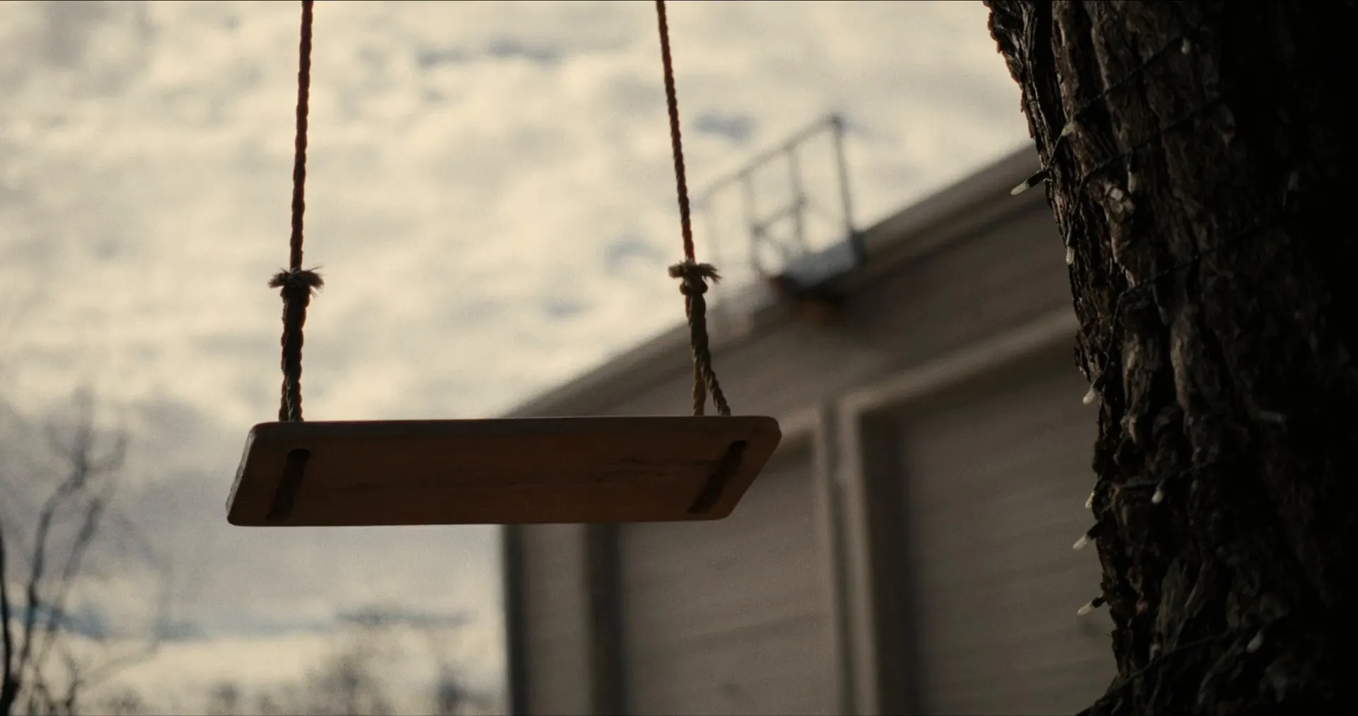 Come See Me in the Good Light (2025)