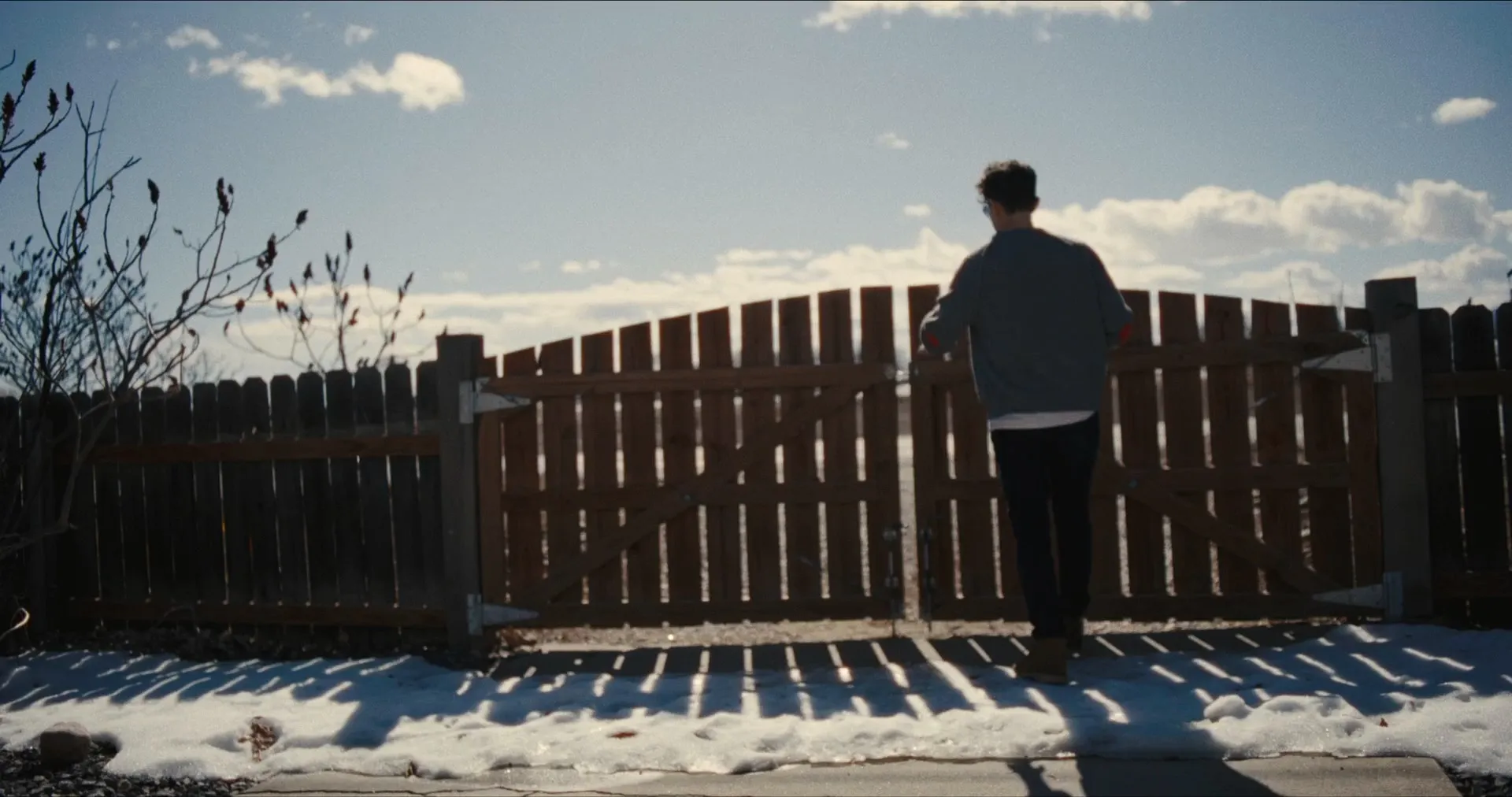 Come See Me in the Good Light (2025)