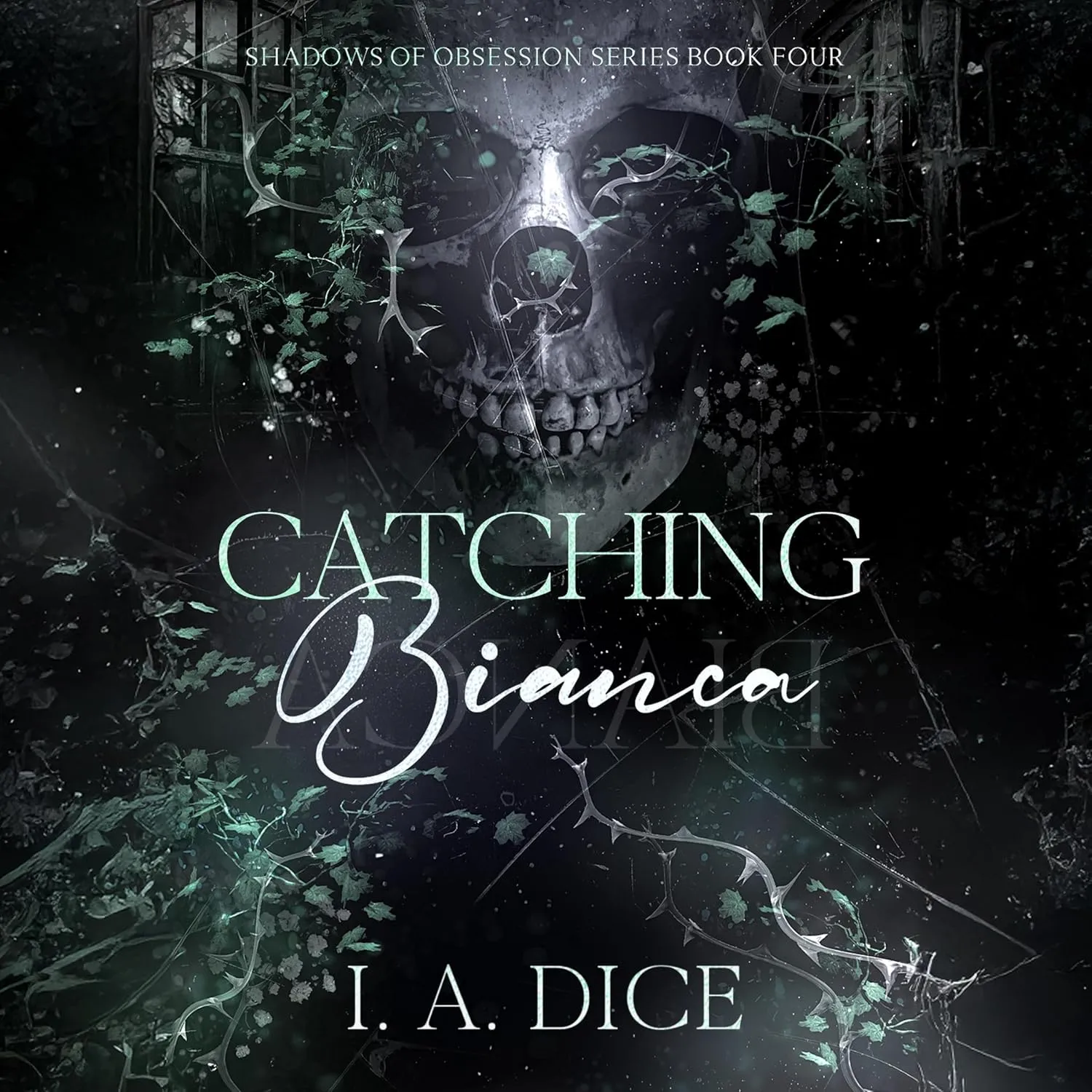 Catching Bianca: Shadows of Obsession
