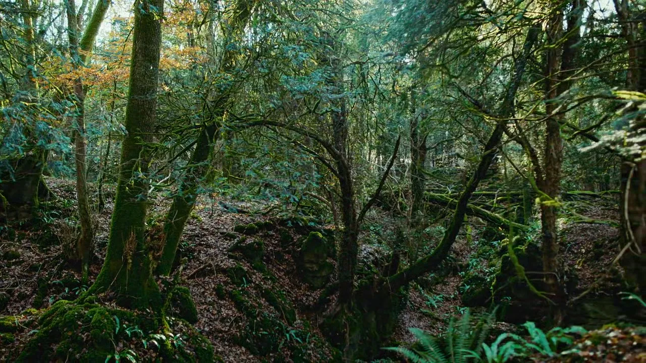 Nightmares of Nature S01E03