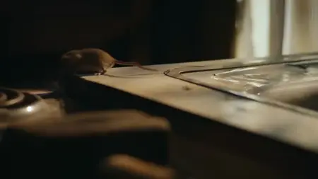 Nightmares of Nature S01E03