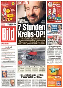 Bild Sachsen-Dresden - 1 Dezember 2025