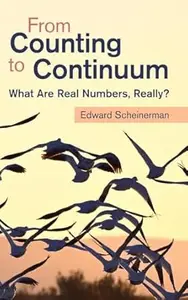 From Counting to Continuum