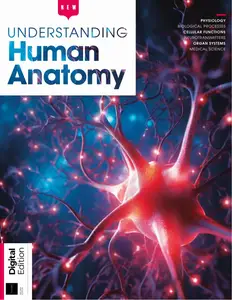 Understanding Human Anatomy - 2nd Edition - 24 October 2024