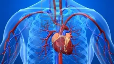 Anatomy And Physiology Advanced Course