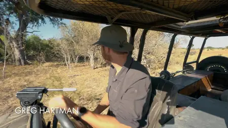 Big Cats S02E02