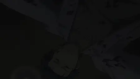 Steins;Gate - 14 (BD 1080p