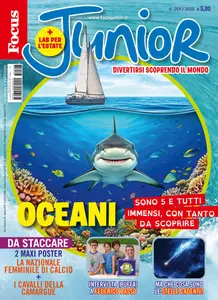 Focus Junior - Agosto 2025