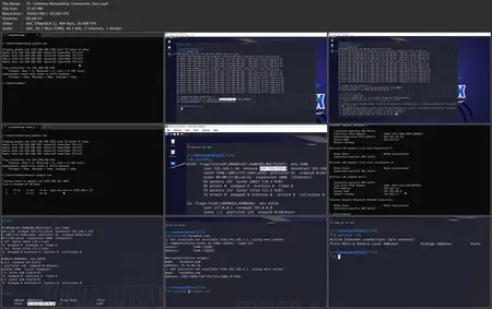 Advanced Ethical Hacking Bootcamp: Network Hacking & Security