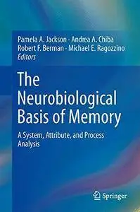 The Neurobiological Basis of Memory: A System, Attribute, and Process Analysis