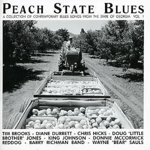 VA - A Collection of Contemporary Blues Songs From The States (1992-1999) (17 CDs)