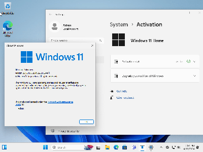 Windows 11 & Windows 10 AIO 32in1 (x64) Preactivated April 2024