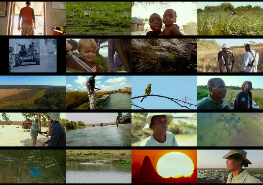 Into the Okavango (2018)