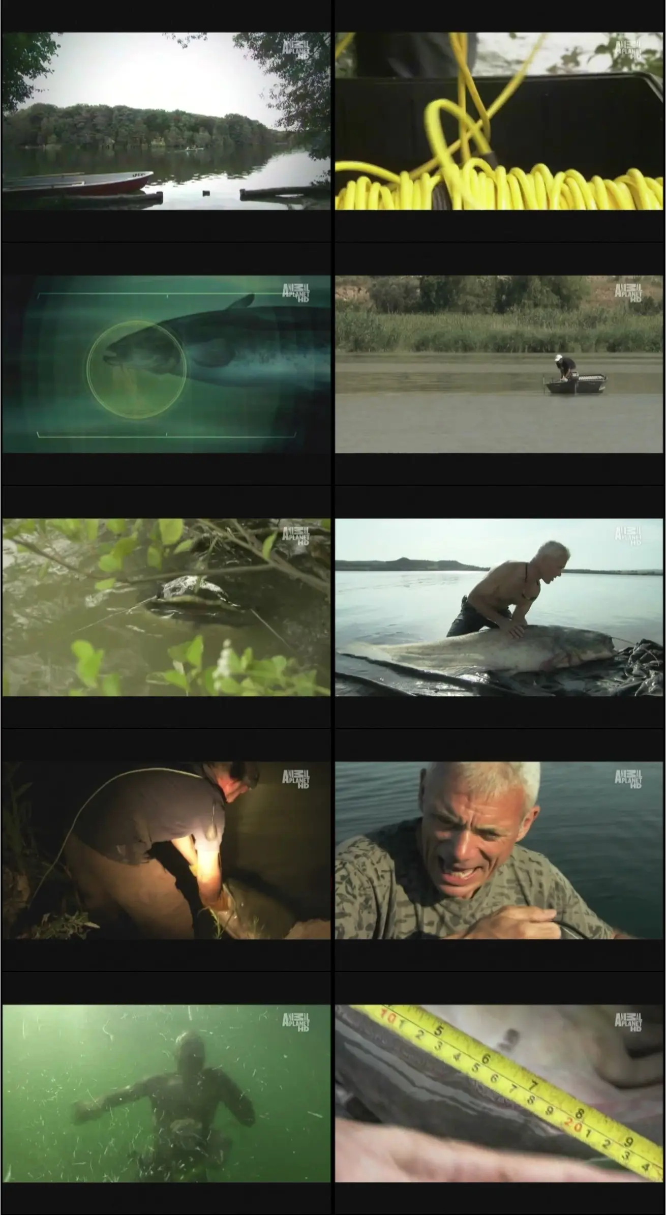 River Monsters S01e04 European Maneater 2009 Avaxhome