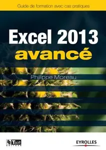Excel 2013 avancé : Guide de formation avec cas pratiques