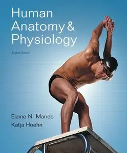 Human Anatomy & Physiology, 8th Edition [Repost] 