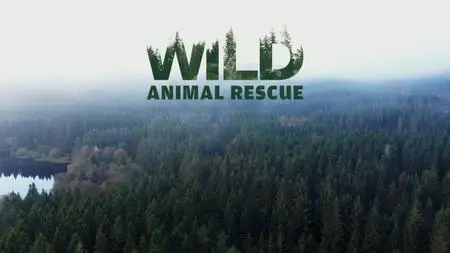 Wild Animal Rescue (2020)