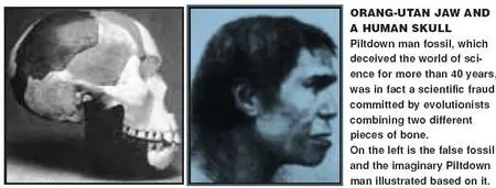 New Research Demolishes Evolution