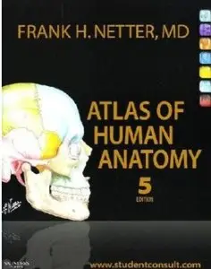 Atlas of Human Anatomy (5th edition) [Repost]