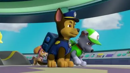 Paw Patrol Helfer auf vier Pfoten S06E23