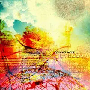 Delicate Noise - Filmezza (2009)