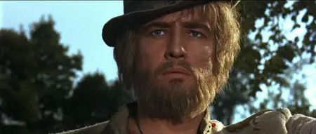 The Appaloosa (1966)