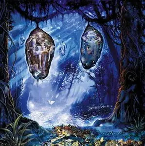 Rak - Lepidoptera (2004)