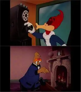The Woody Woodpecker Screwball Collection (1940-1961)