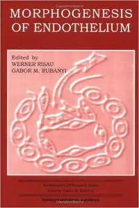 Morphogenesis of Endothelium