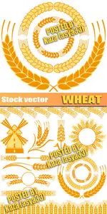 Wheat 3