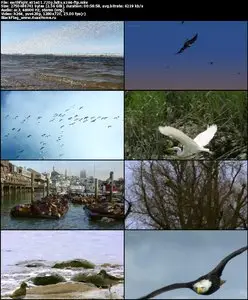 BBC: Earthflight S01E01