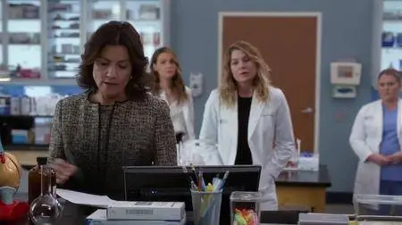 Grey's Anatomy S04E14