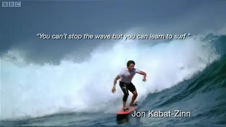 The Secret Life of Waves