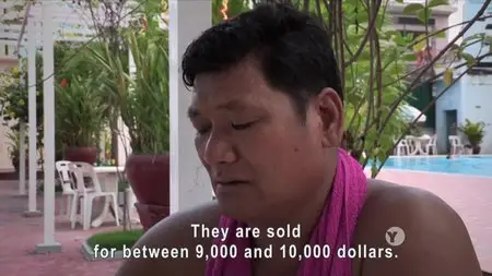PBS - POV: The Storm Makers (2015)