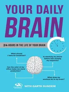 Your Daily Brain: 24 Hours in the Life of Your Brain