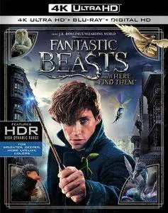 Fantastic Beasts and Where to Find Them (2016)