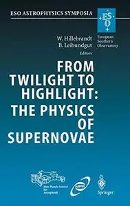 From Twilight to Highlight: The Physics of Supernovae: Proceedings of the ESO/MPA/MPE Workshop Held at Garching, Germany, 29-31